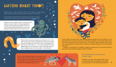 Приключения Тима в мире бактерий - Фото 2