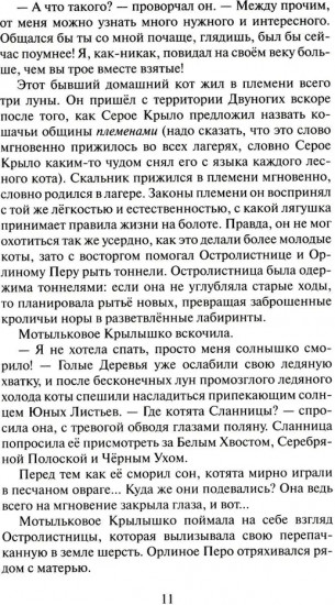 Коты-воители. Cны и видения Бабочки. Книга 1. Беглянка