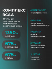 Аминокислотный комплекс BCAA 2:1:1 - Фото 1