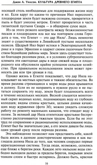 Культура Древнего Египта. Материальное и духовное наследие народов долины Нила