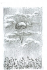 Брусника - Фото 4