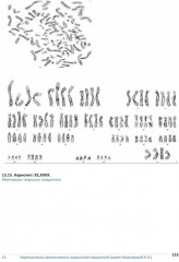 Врожденные пороки развития плода. Атлас - Фото 7