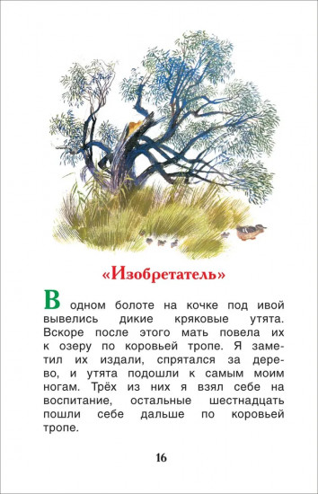 Рассказы о природе