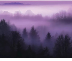 Босиком за ветром - Фото 4