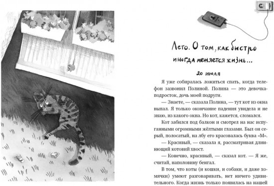 Кот прямо с неба