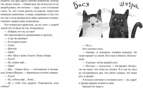 Кот прямо с неба