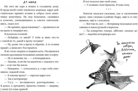 Кот прямо с неба