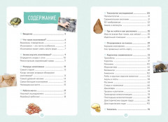 Древний мир - Фото 2