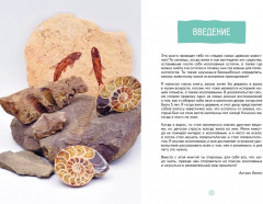 Древний мир - Фото 3