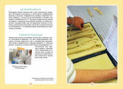 Древний мир - Фото 5