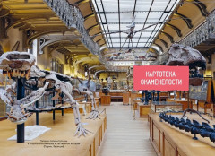 Древний мир - Фото 6