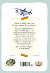 Древний мир - Фото 7