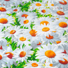 Комплект постельного белья «Офелия» - Фото 3