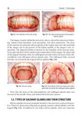 Rubber dam system. Basic knowledge and practical skills for isolating the working field in clinical dentistry - Фото 6