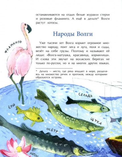 Волга. От арбуза до мамонта