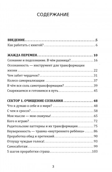 Колесо самореализации. Пошаговое руководство для трансформации жизни. Книга-тренинг