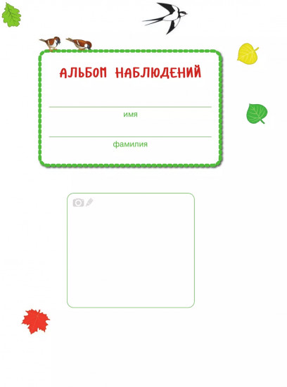 Веселые деньки. Ребёнок и окружающий мир. Альбом наблюдений. 3-4 года