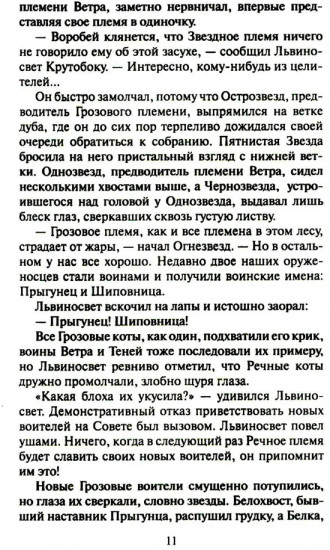 Коты-воители. Четвертый оруженосец