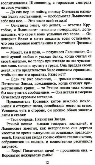 Коты-воители. Четвертый оруженосец