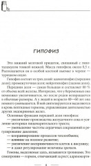 Все о гормонах, или Живем ГОРМОНично - Фото 3