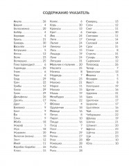 Стихи-загадки для индивидуальных и фронтальных логопедических занятий - Фото 1