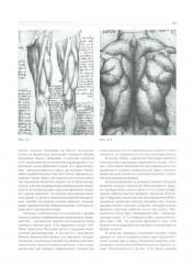 Рисунок по представлению в теории и упражнениях от геометрии к архитектуре - Фото 7