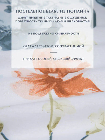 Комплект постельного белья «Compliment»