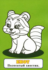 Слонёнок. Узнай и раскрась - Фото 3