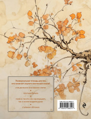 Тетрадь для иероглифов «Рыжий котик» - Фото 1