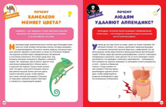 Большая книга почемучки. 365 вопросов и ответов на целый год - Фото 2