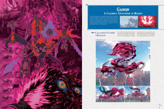 The Legend of Zelda. Breath of the Wild. Creating a Champion