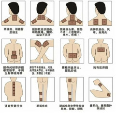 Набор пластырей для тела «Glu Red Ginseng Pad» - Фото 3