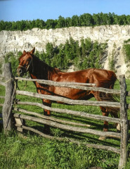 Башкортостан. Туристический путеводитель - Фото 2