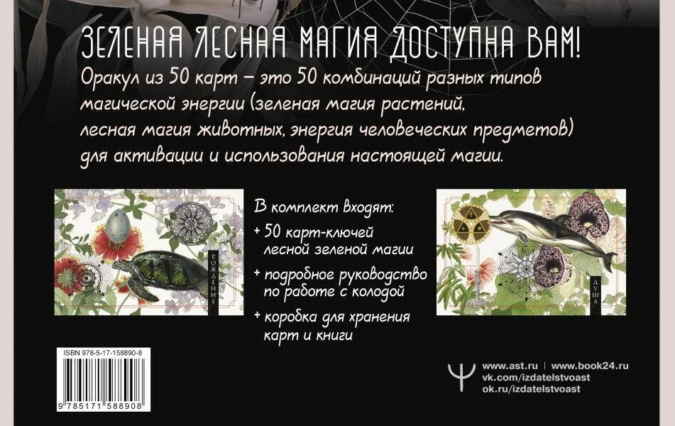 Зелёная лесная магия. Witch Oracle Cards | Большие эзотерические карты (коробка с картами + руководство) | Фото 1