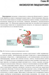 Нутрициология - Фото 4