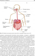 Нутрициология - Фото 5