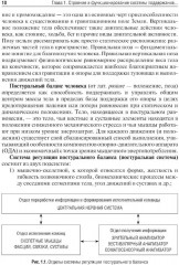 Профилактика постуральных и двигательных нарушений - Фото 4