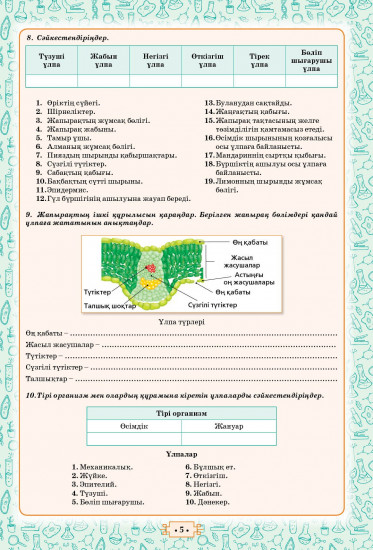 Жумыс дәптер. Бөлім бойынша жиынтық бағалауға арналған тасырмалардың үлгілері. (БЖБ) Биология. 8 сынып