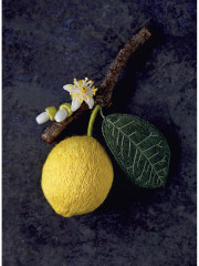 Комплект из 2-х книг: Botanica. Объемная вышивка шерстью от Джули Книдл/Искусство золотого шитья от Английской королевской школы вышивания - Фото 3