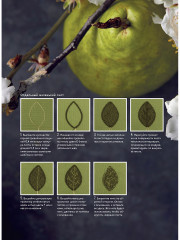 Комплект из 2-х книг: Botanica. Объемная вышивка шерстью от Джули Книдл/Искусство золотого шитья от Английской королевской школы вышивания - Фото 8