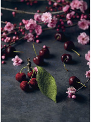 Комплект из 2-х книг: Botanica. Объемная вышивка шерстью от Джули Книдл/Искусство золотого шитья от Английской королевской школы вышивания - Фото 9