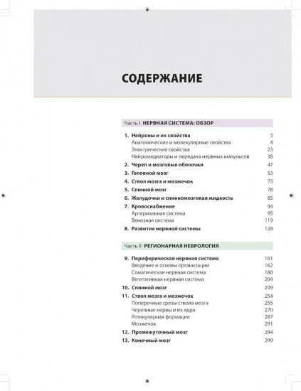 Неврология. Атлас с иллюстрациями Неттера