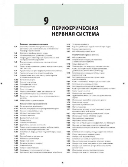 Неврология. Атлас с иллюстрациями Неттера