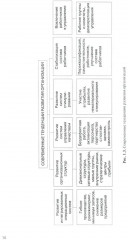 Теория организации (теория менеджмента) - Фото 8