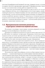 Нейрофизиология. Основы курса - Фото 8