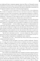 Нейрофизиология. Основы курса - Фото 9