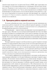 Нейрофизиология. Основы курса - Фото 12