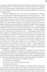 Нейрофизиология. Основы курса - Фото 13