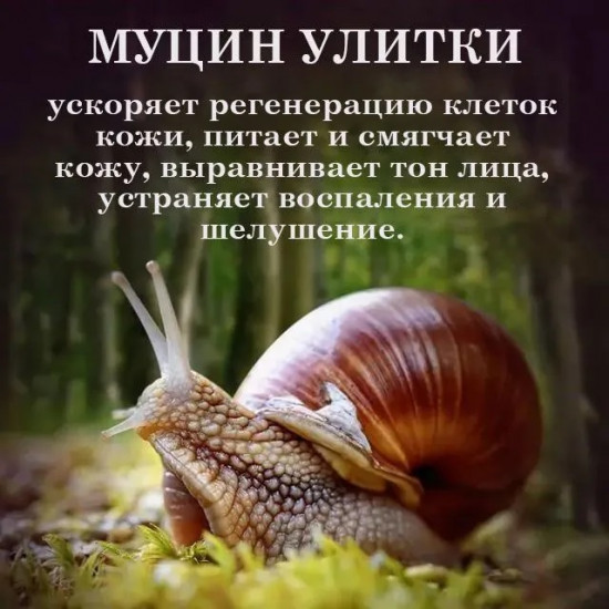 Очищающая пенка для умывания муцином улитки