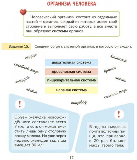 Окружающий мир: Тренажер. 3 класс. Самые важные темы программы с проверочными заданиями и ответами
